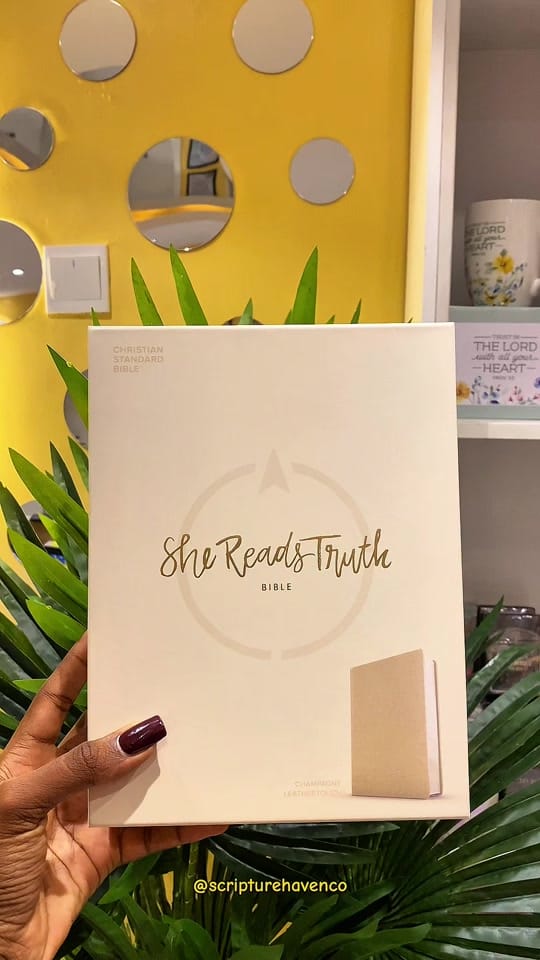 Post 8 by Scripture Haven Co on TikTok (video)