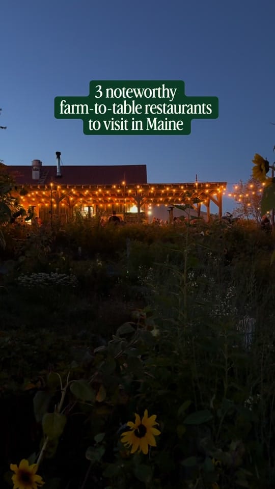 Post 2 by Plates of Portland Maine on TikTok (video)