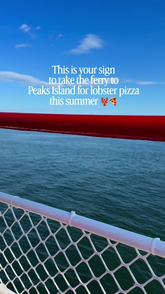 Post 6 by Plates of Portland Maine on TikTok (video)