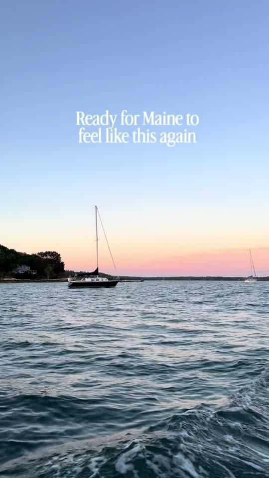 Post 8 by Plates of Portland Maine on TikTok (video)