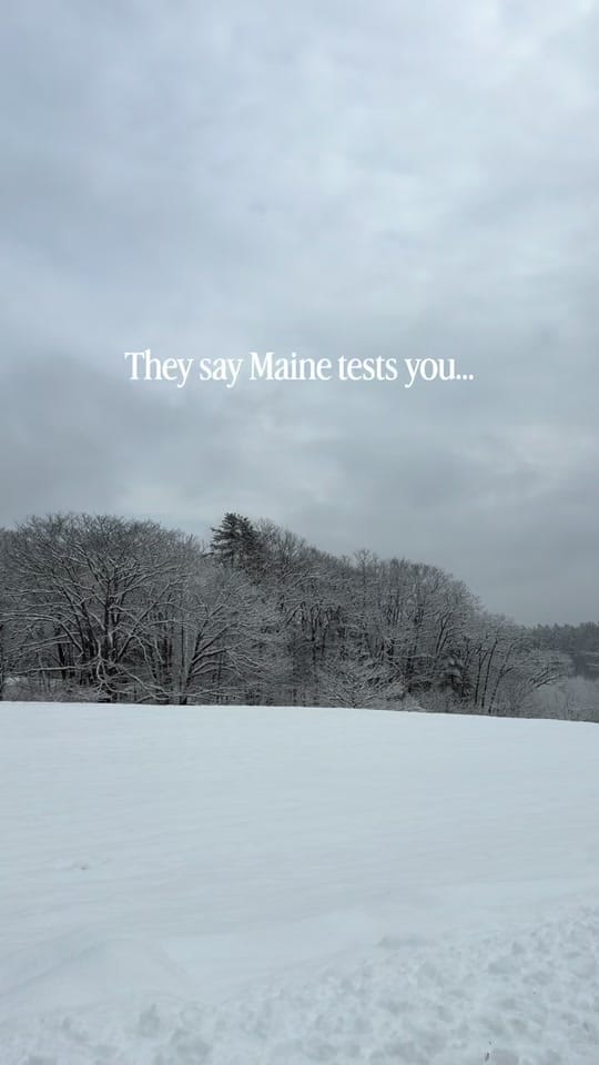 Post 5 by Plates of Portland Maine on TikTok (video)