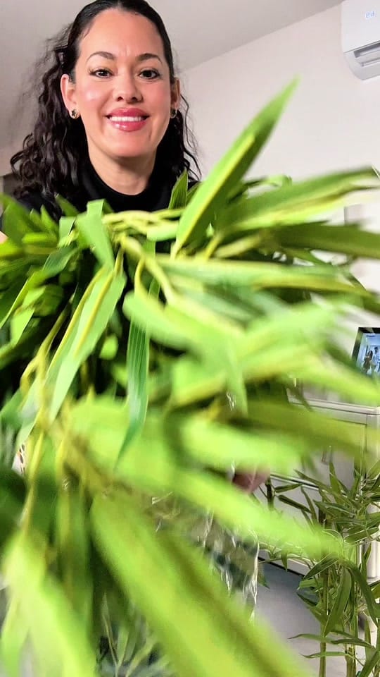 Post 5 by anniesdailyfinds on TikTok (video)