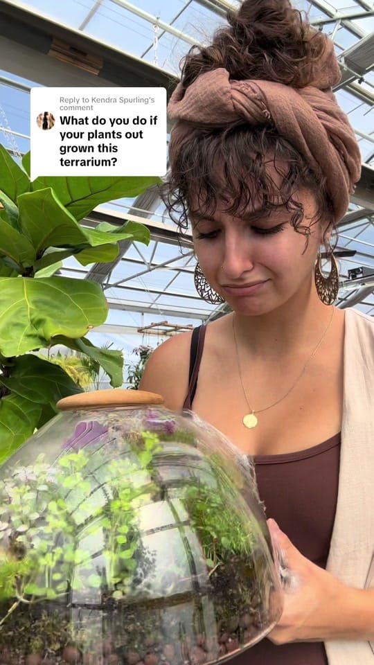 Post 8 by The Houseplant Hub | Oregon on TikTok (video)
