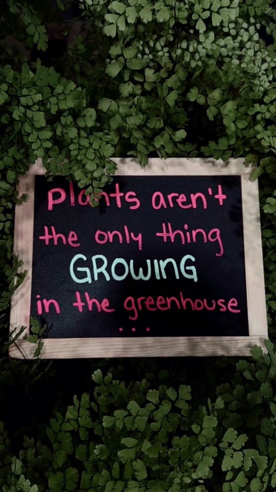 Post 2 by The Houseplant Hub | Oregon on TikTok (video)