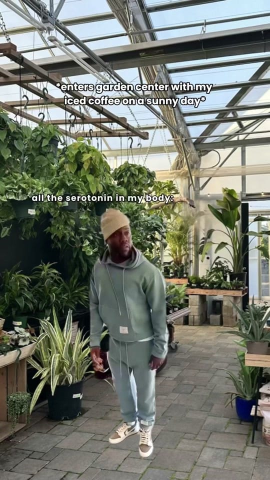 Post 6 by The Houseplant Hub | Oregon on TikTok (video)