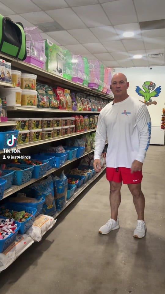 Post 3 by Just4Birds on TikTok (video)