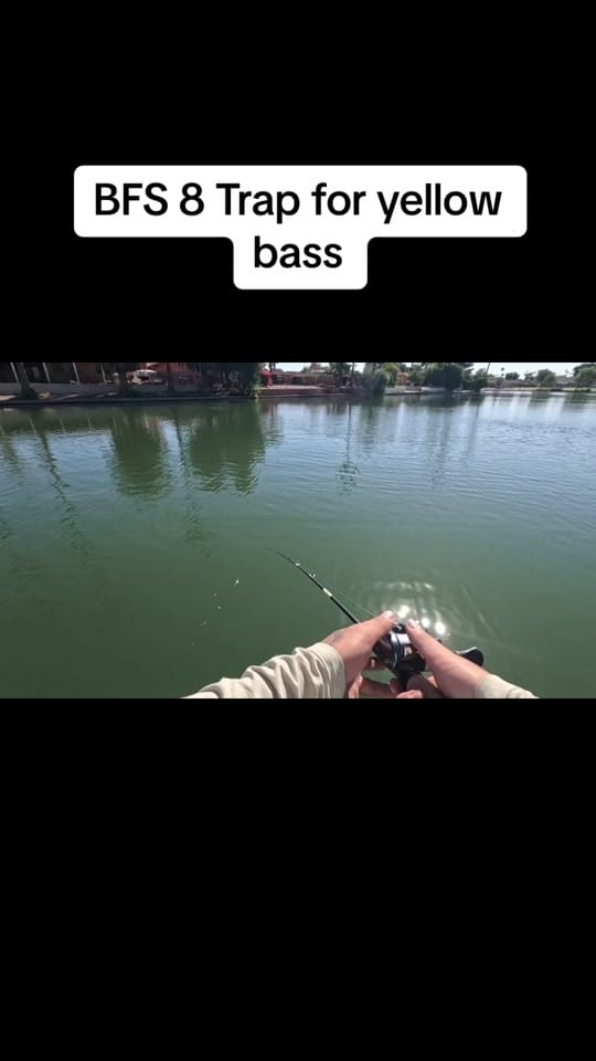 Post 3 by The Hook Up Tackle on TikTok (video)