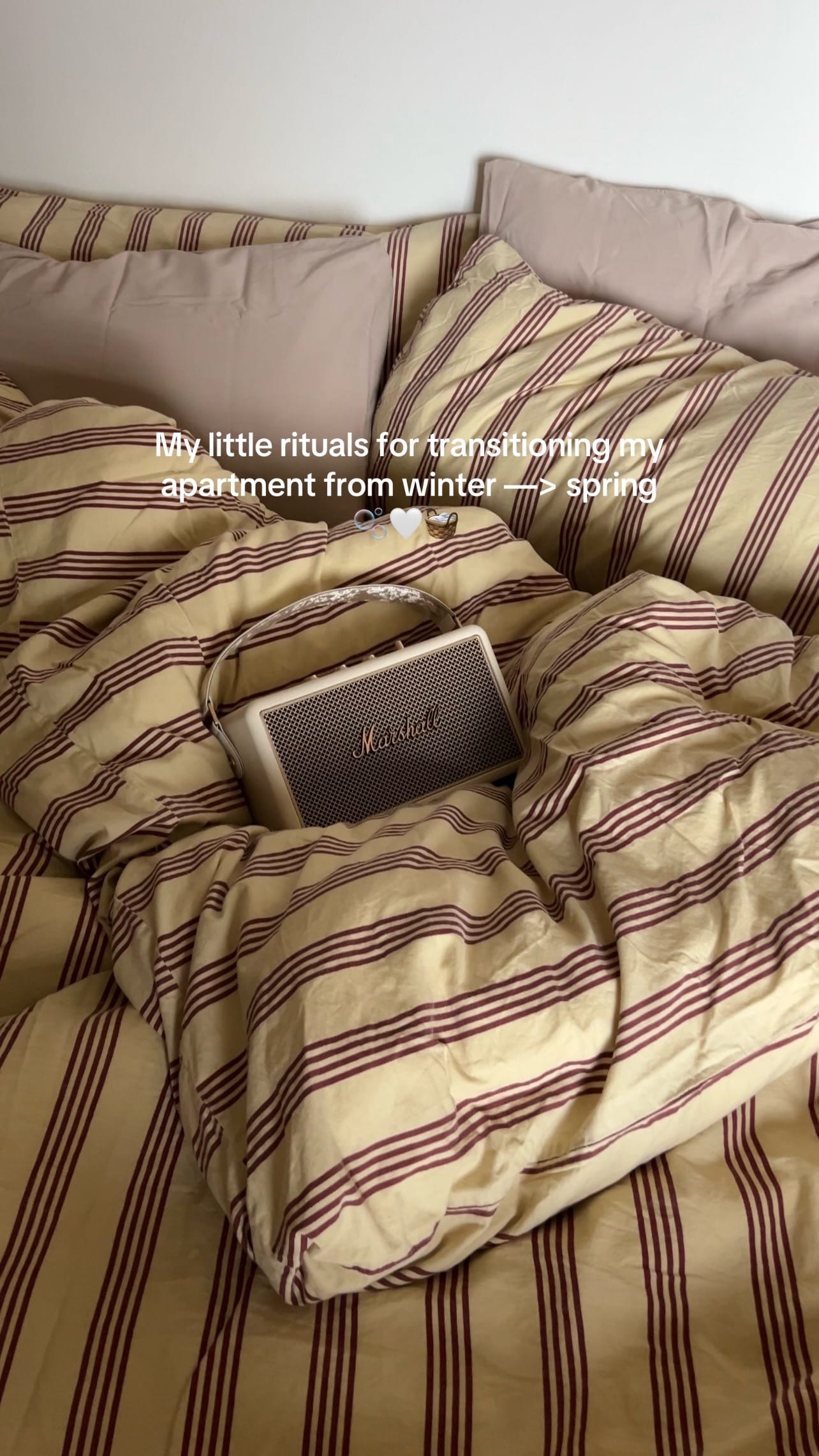 Post 2 by Robin Peterson on TikTok (video)