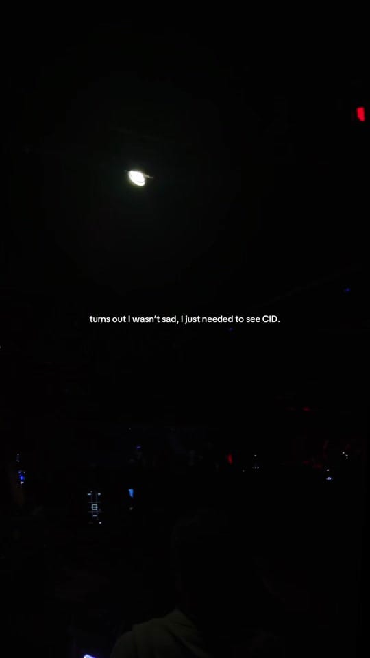 Post 8 by kaley | edm + festivals on TikTok (video)