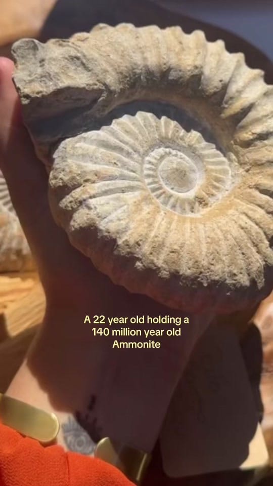Post 7 by ✧ Géminis Healing Energy ✧ on TikTok (video)