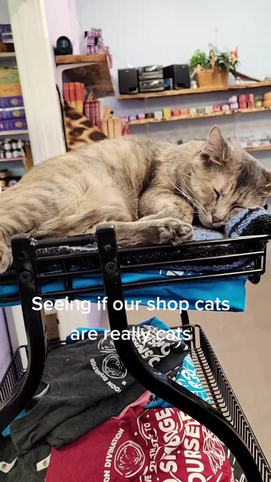 Post 5 by New Moon Divination on TikTok (video)