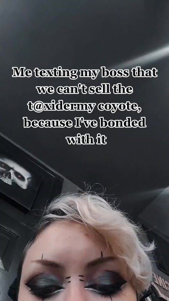 Post 8 by DarkMatterOddities on TikTok (video)