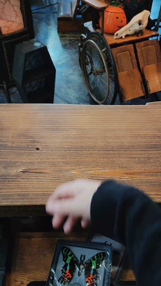 Post 4 by DarkMatterOddities on TikTok (video)