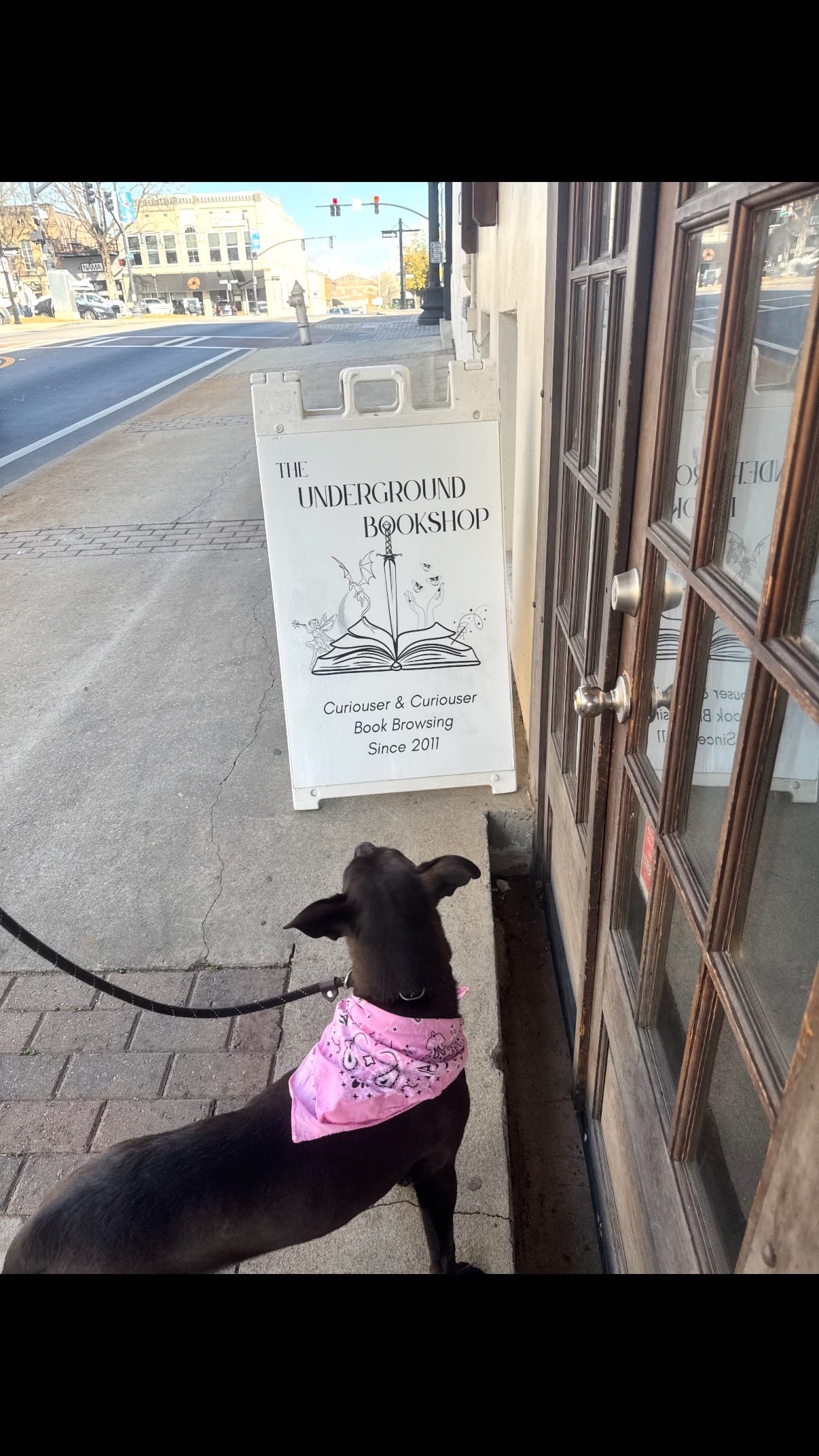 Post 3 by The Underground Bookshop on TikTok (video)