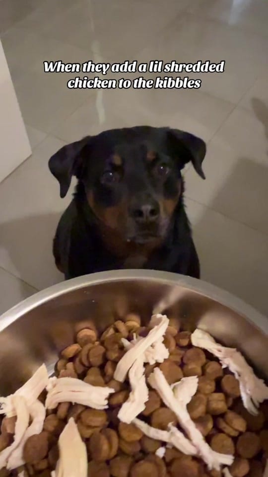 Post 7 by veka.sparkles on TikTok (video)