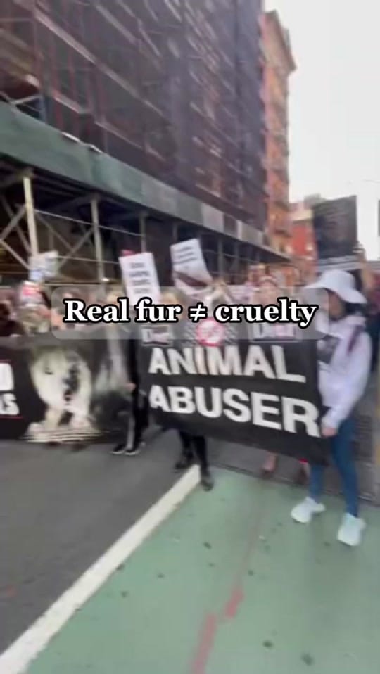 Post 8 by Fantasia Furs on TikTok (video)