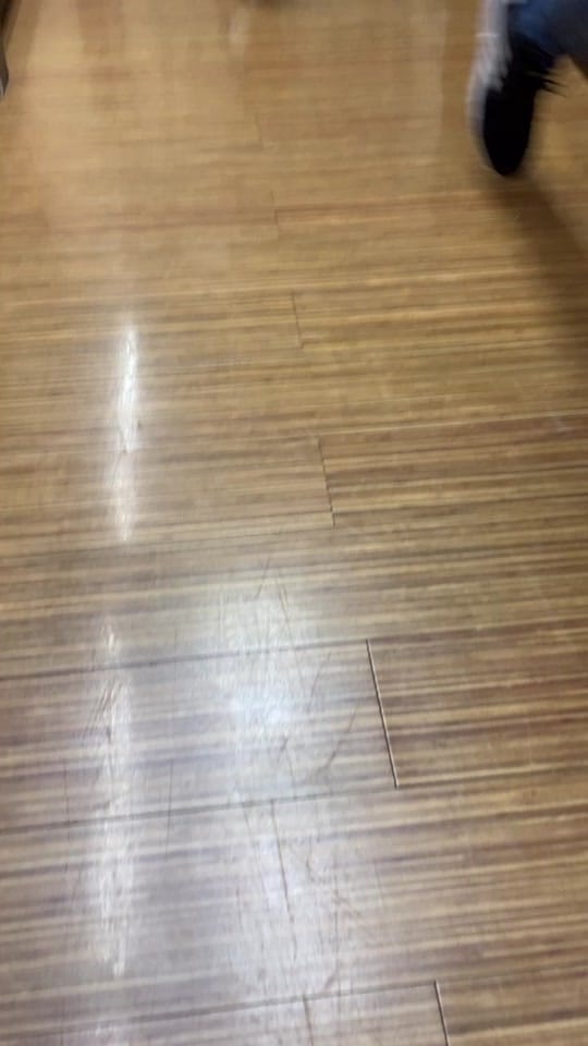 Post 8 by Petland Independence on TikTok (video)