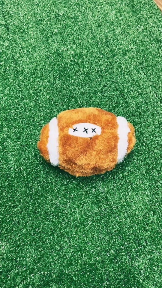Post 10 by Petland Independence on TikTok (video)