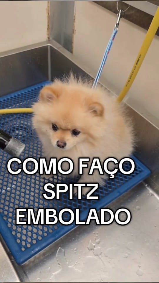 Post 3 by DEYSIA GROOMER USA on TikTok (video)