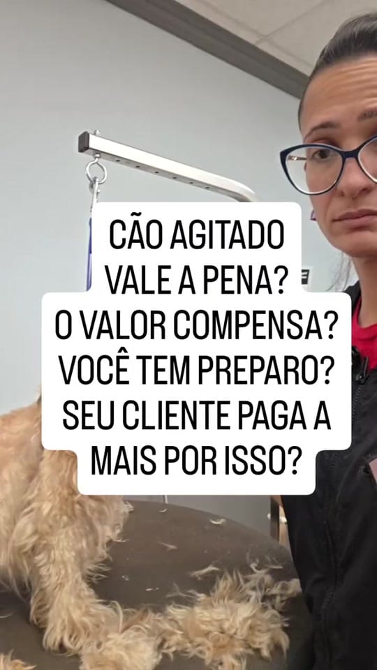 Post 10 by DEYSIA GROOMER USA on TikTok (video)