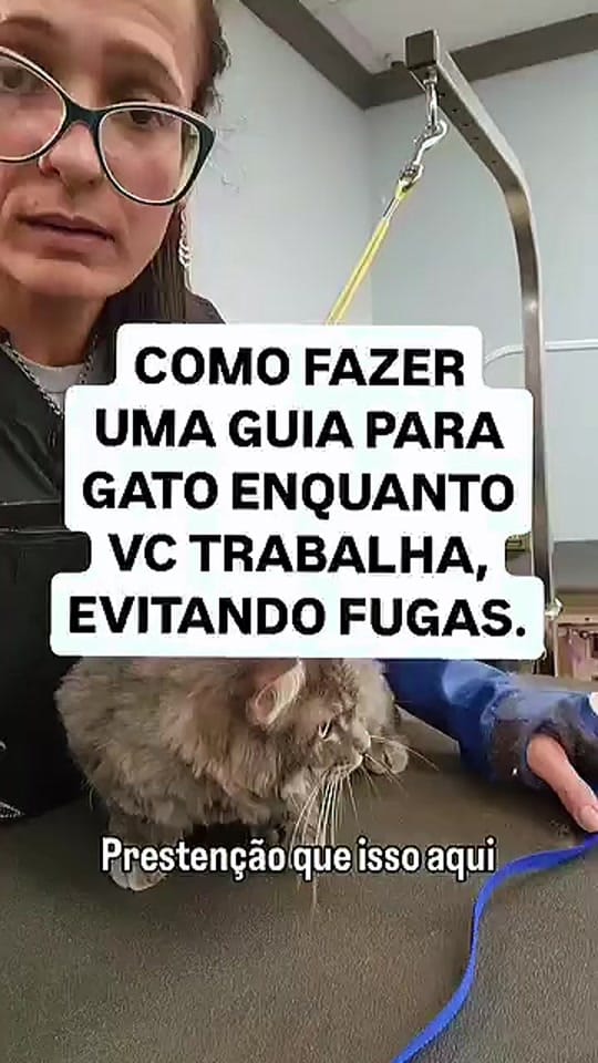 Post 8 by DEYSIA GROOMER USA on TikTok (video)