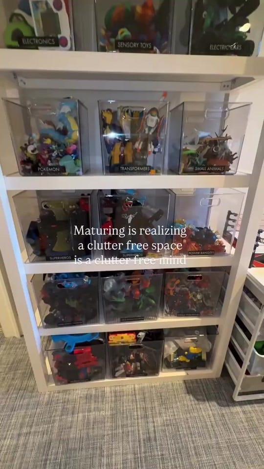 Post 4 by TheHomeOrganizeher on TikTok (video)