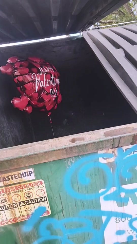 Post 2 by Ravens and Rockers on TikTok (video)
