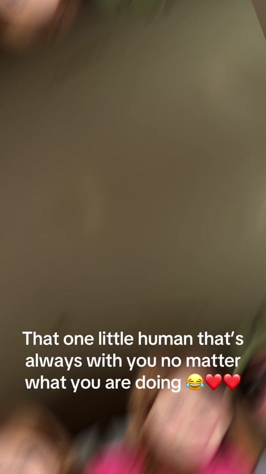 Post 5 by Mike P on TikTok (video)
