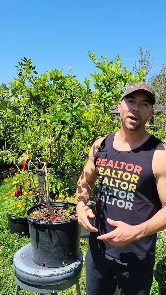 Post 10 by Garden Angel on TikTok (video)