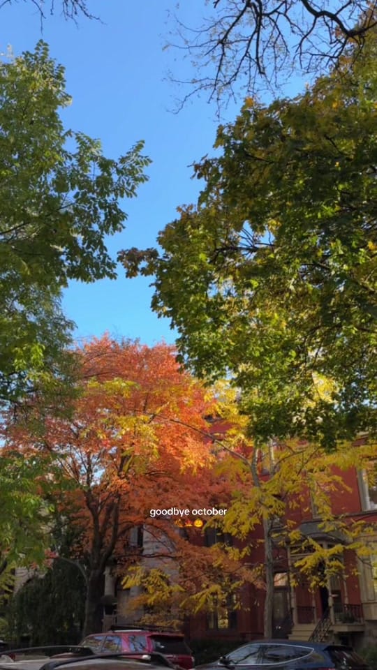 Post 5 by maybemeaghan on TikTok (video)