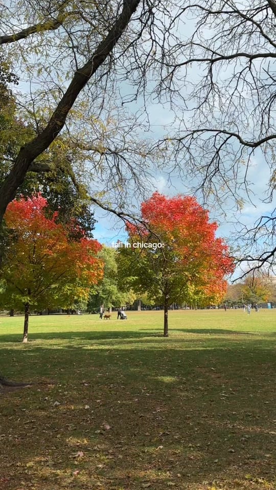 Post 8 by maybemeaghan on TikTok (video)