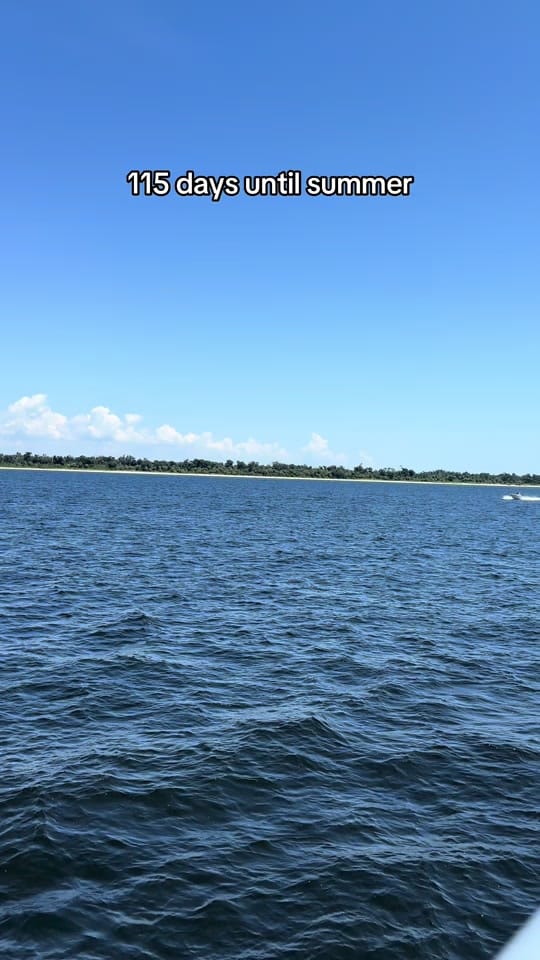 Post 3 by Rach on TikTok (video)