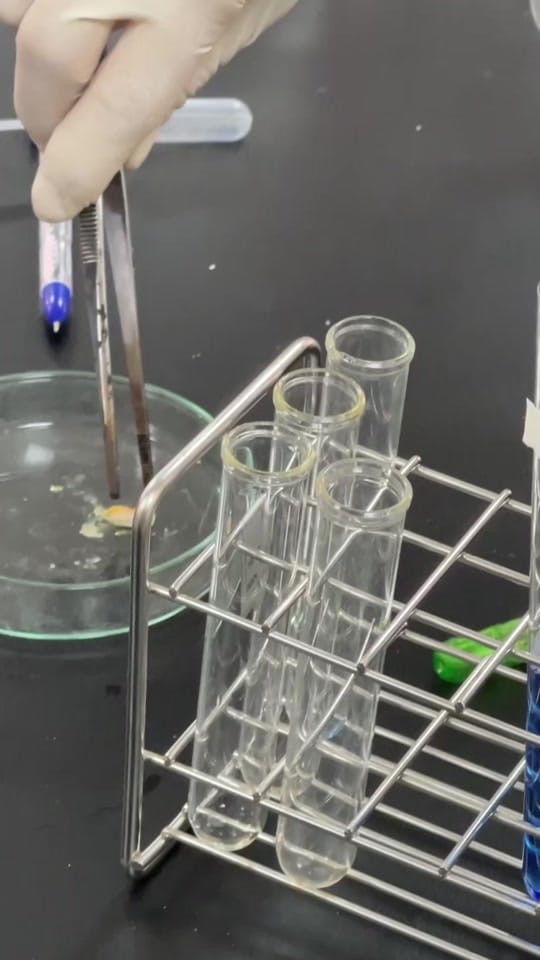 Post 4 by SA🇰🇭 on TikTok (video)