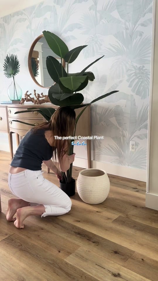 Post 1 by Coastal Caitlin 🌊 on TikTok (video)