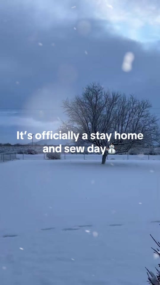 Post 3 by TheQuiltParlor on TikTok (video)