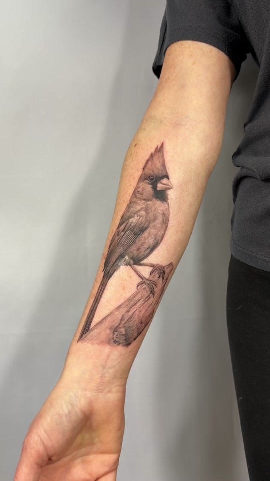 Post 2 by Tiffanytattoos on TikTok (video)