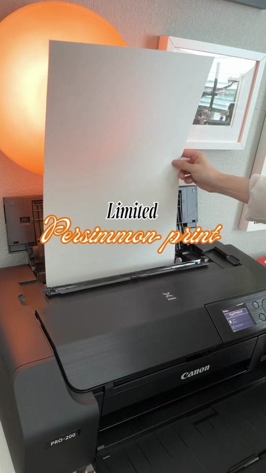 Post 2 by Zoe art garden on TikTok (video)