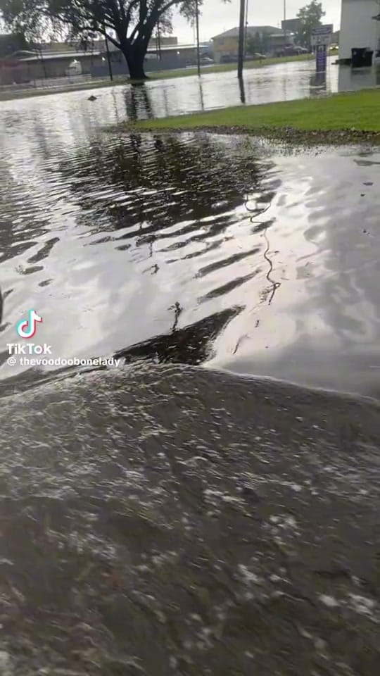 Post 5 by The Voodoo Bone Lady on TikTok (video)
