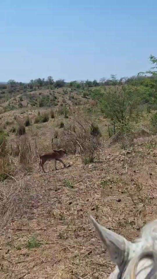 Post 1 by MGuadalupe on TikTok (video)