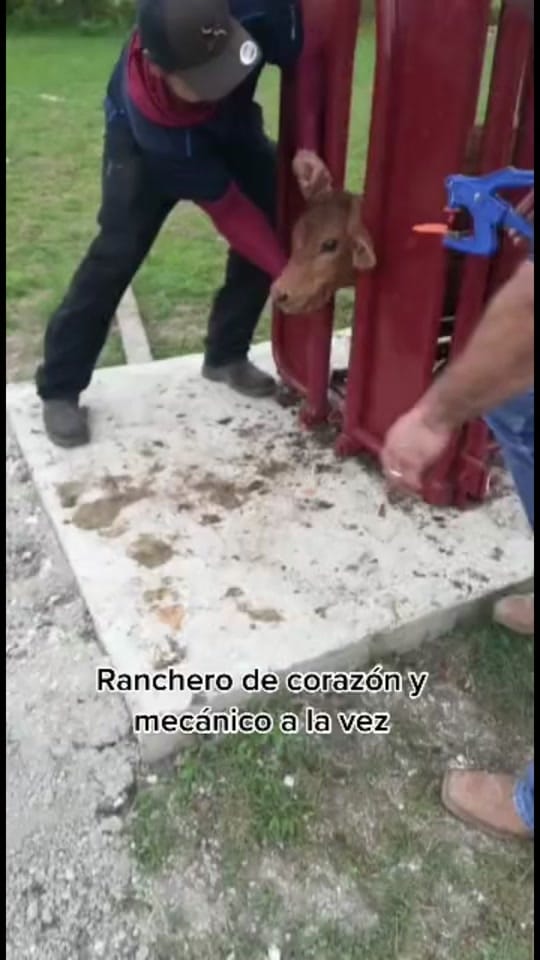 Post 6 by MGuadalupe on TikTok (video)