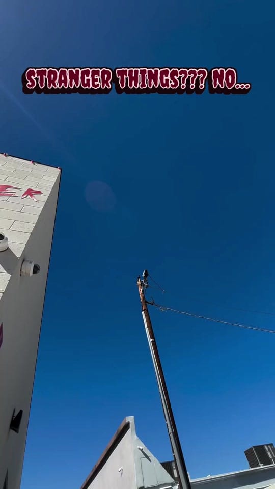 Post 2 by Sunday Goods on TikTok (video)