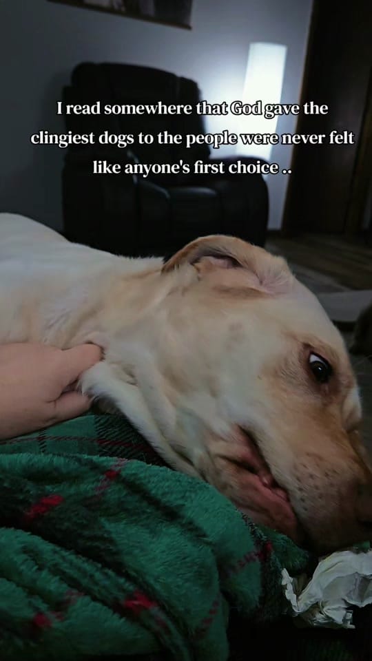 Post 5 by Sue | 13StarApparel l ✝️🌶🧬 on TikTok (video)