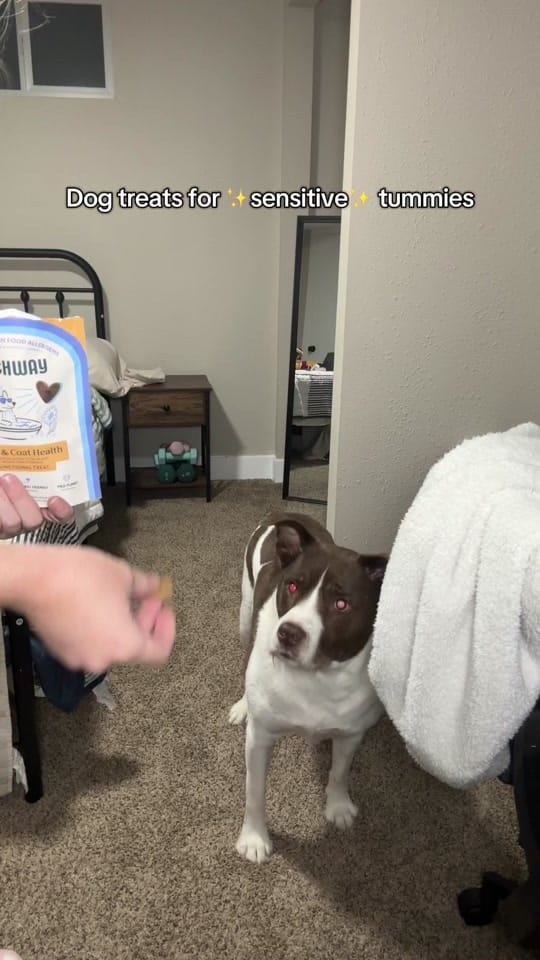 Post 5 by Taylor | Mama, TTShop Finds on TikTok (video)