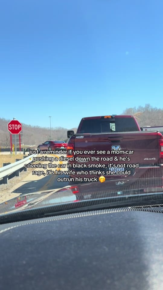 Post 5 by caylyn gray 💐🦆🪩💌 on TikTok (video)