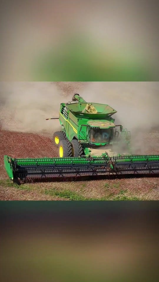 Post 8 by VerdeSul on TikTok (video)