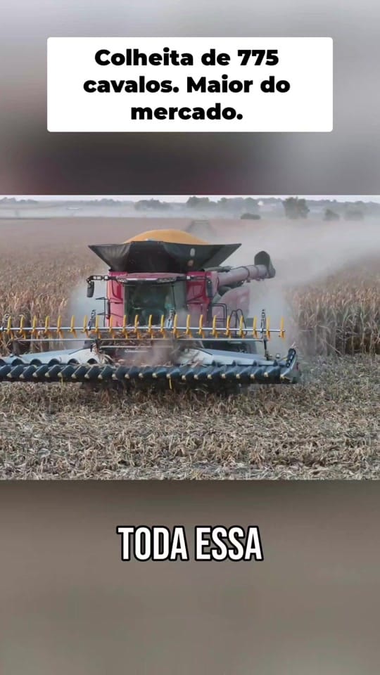Post 2 by VerdeSul on TikTok (video)