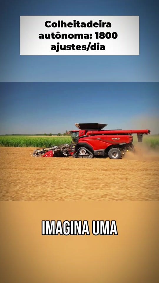 Post 3 by VerdeSul on TikTok (video)