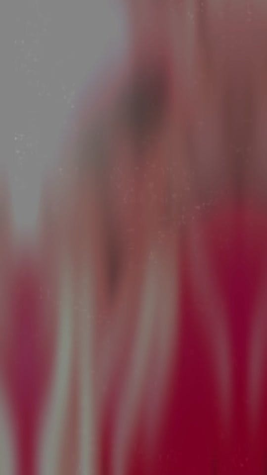 Post 9 by Laura on TikTok (video)