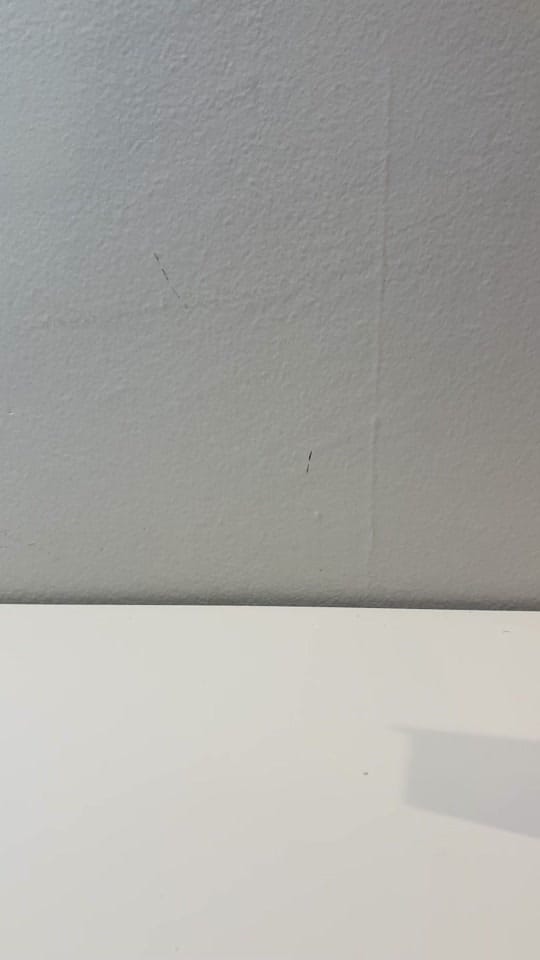 Post 10 by elago on TikTok (video)
