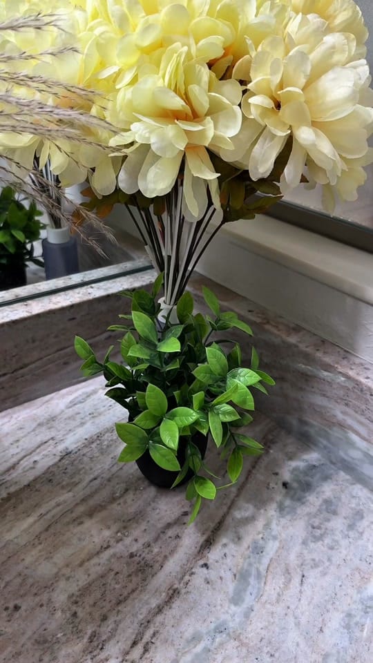 Post 5 by Natasha🎀 Beauty Creator on TikTok (video)
